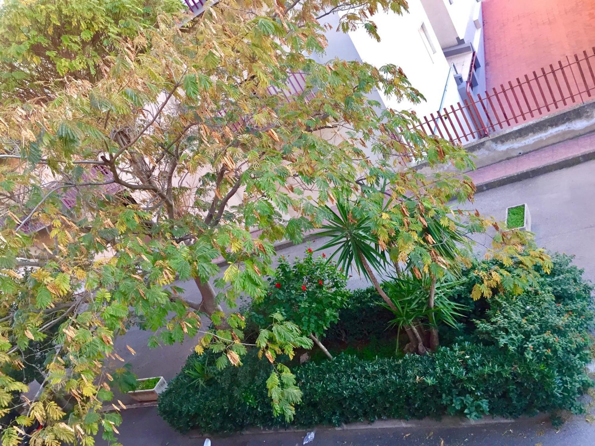 Casa Cristina Apartment Комизо Екстериор снимка
